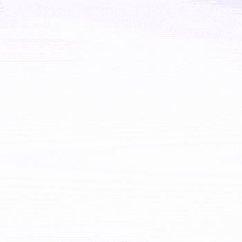 vivozebra.si