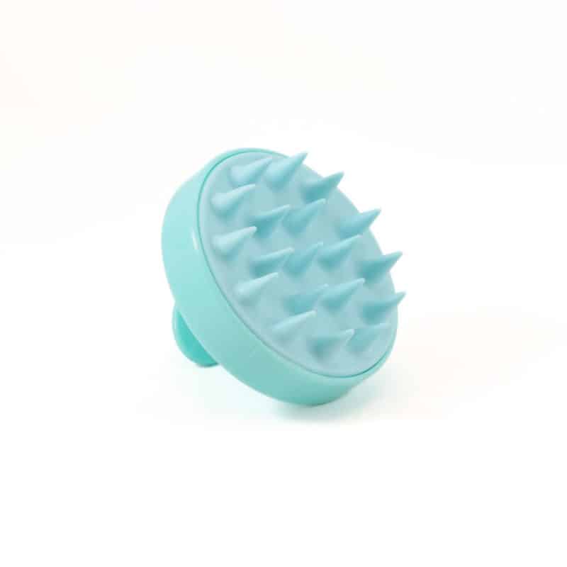 vivozebra.si