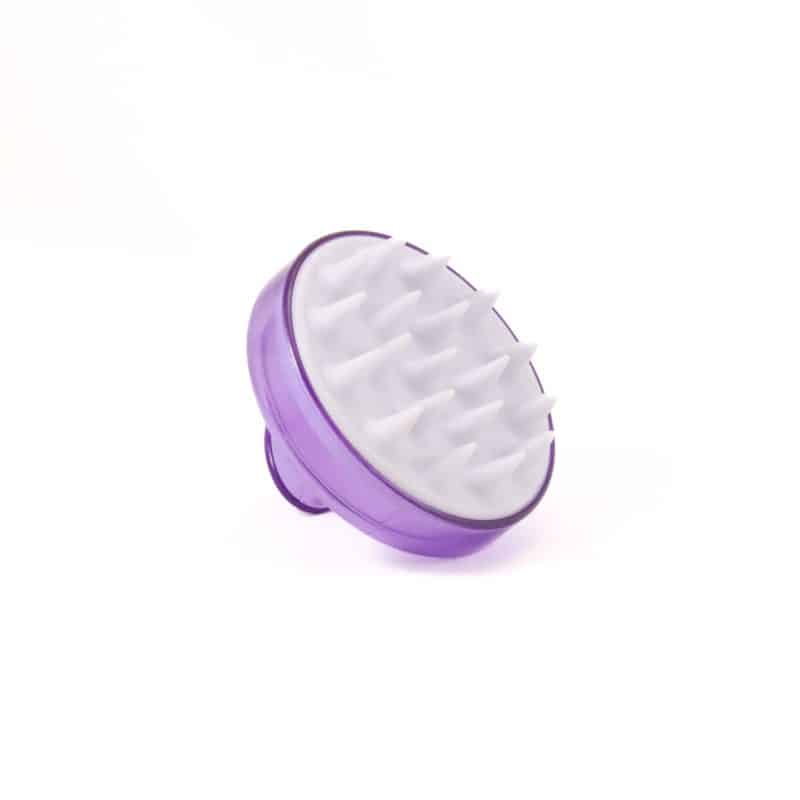 vivozebra.si