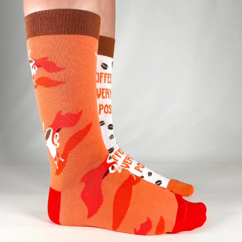 vivozebra.si
