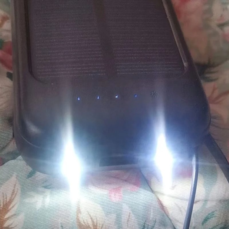 vivozebra.si